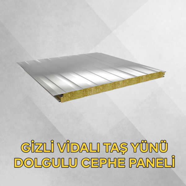 Taşyünü Dolgulu - Sandviç Cephe Paneli - Görsel 3